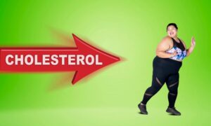 Fat And Cholesterol