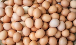 How Do Eggs Help in Weight Loss