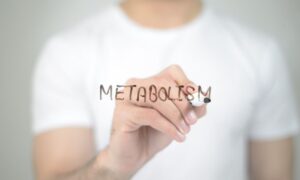 What Does Metabolism Mean