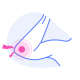 elbow