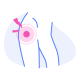 hip